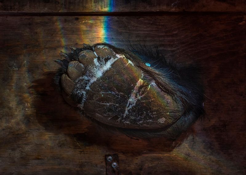 © Elena Anosova - Image from the Out-of-the-way photography project