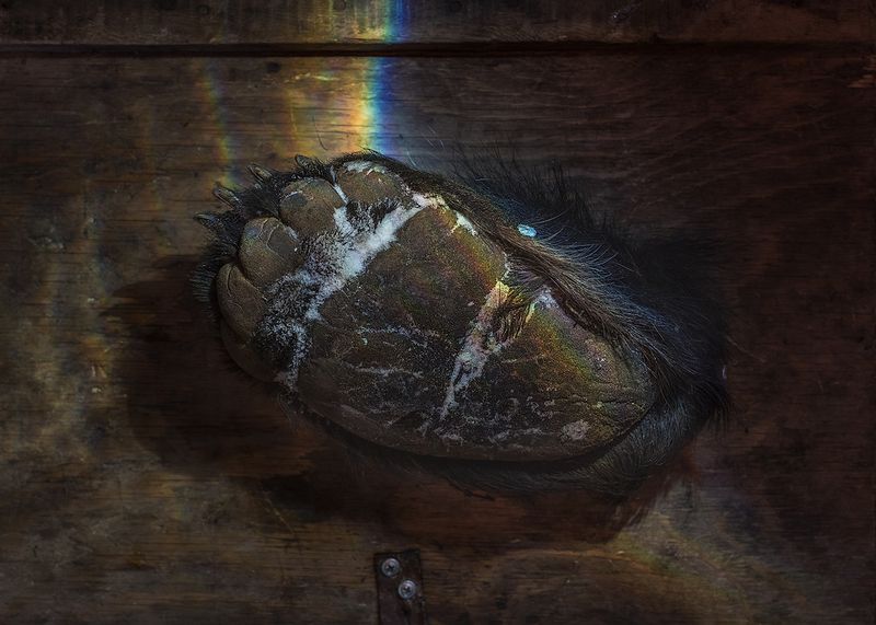 © Elena Anosova - Image from the Out-of-the-way photography project