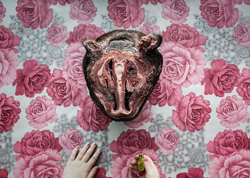 © Elena Anosova - Image from the Out-of-the-way photography project