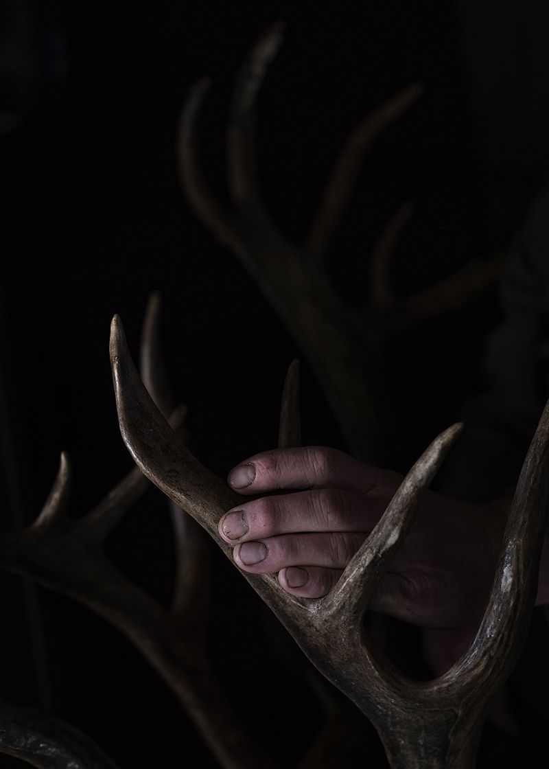 © Elena Anosova - Hand of the hunter and horn of an old deer. Katangsky District, Irkutsky region. Russia, 2017
