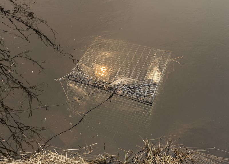 © Elena Anosova - Image from the Out-of-the-way photography project