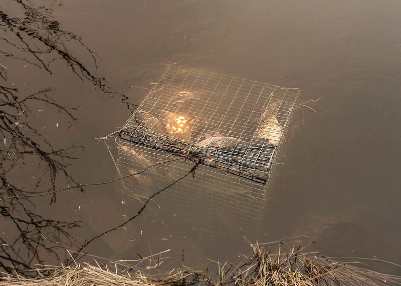 © Elena Anosova - Image from the Out-of-the-way photography project