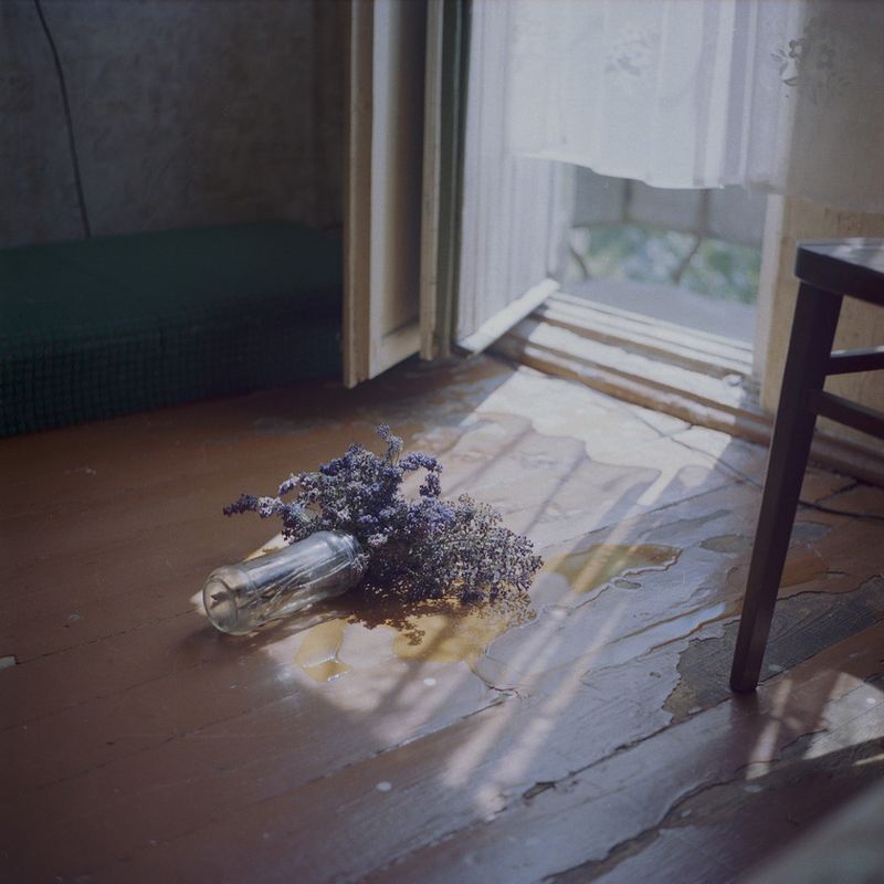 © Kate Dmitrieva - Image from the Broken flowers  photography project