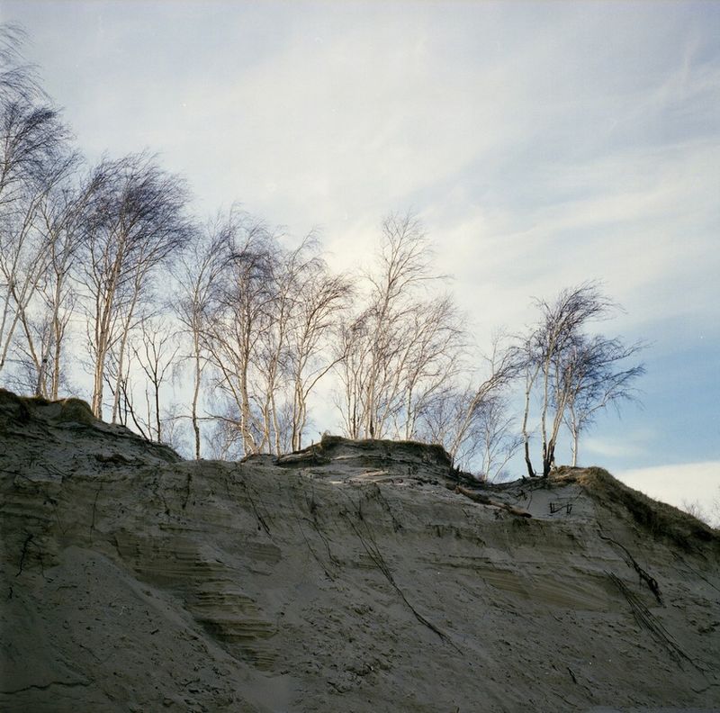 © Kate Dmitrieva - Image from the Broken flowers  photography project