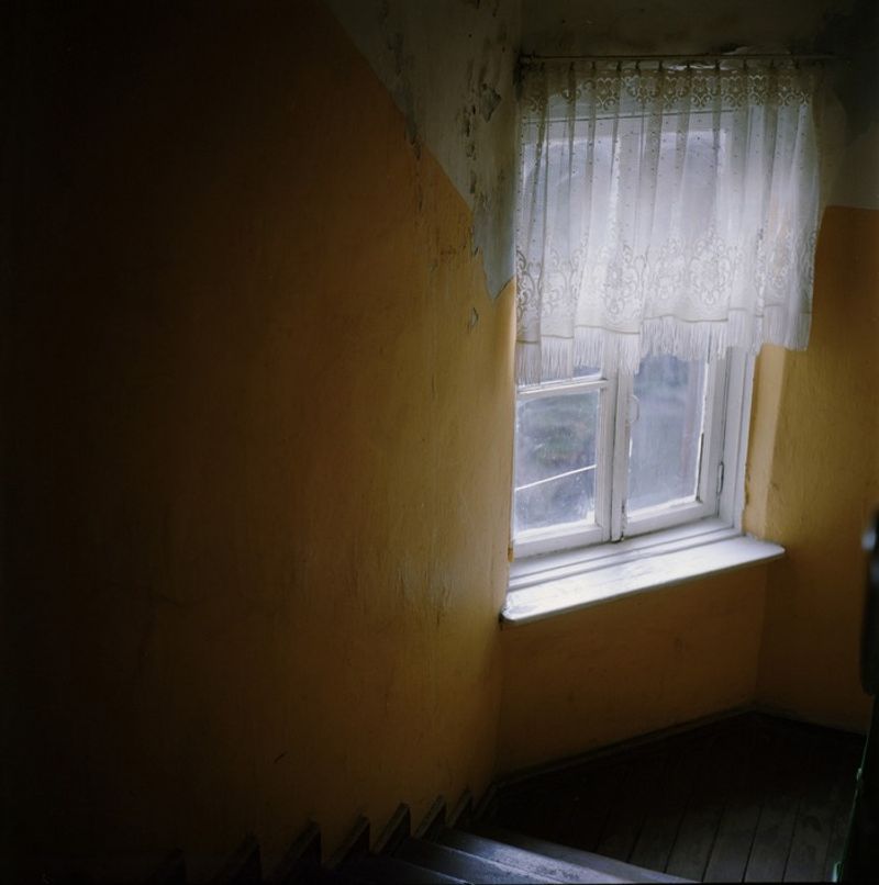 © Kate Dmitrieva - Image from the Broken flowers  photography project
