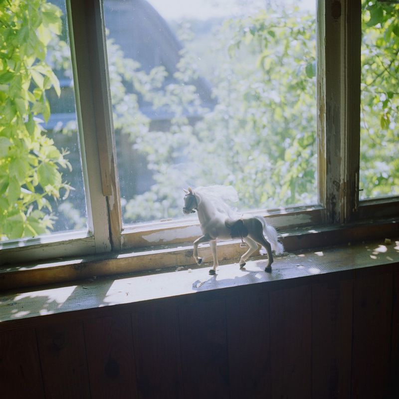 © Kate Dmitrieva - Image from the Broken flowers  photography project