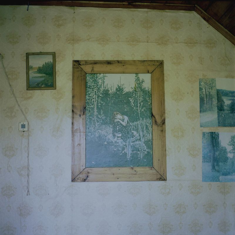 © Kate Dmitrieva - Image from the Broken flowers  photography project