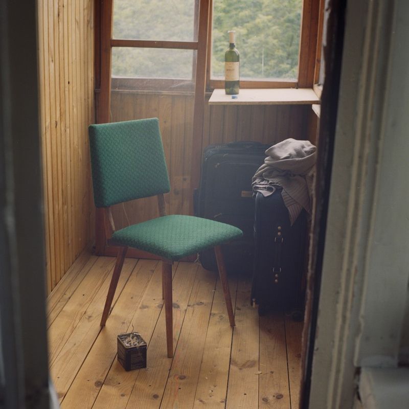© Kate Dmitrieva - Image from the Broken flowers  photography project