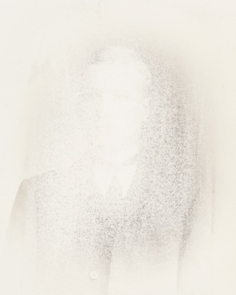 © Hanna Råst - Image from the Pine needles photography project