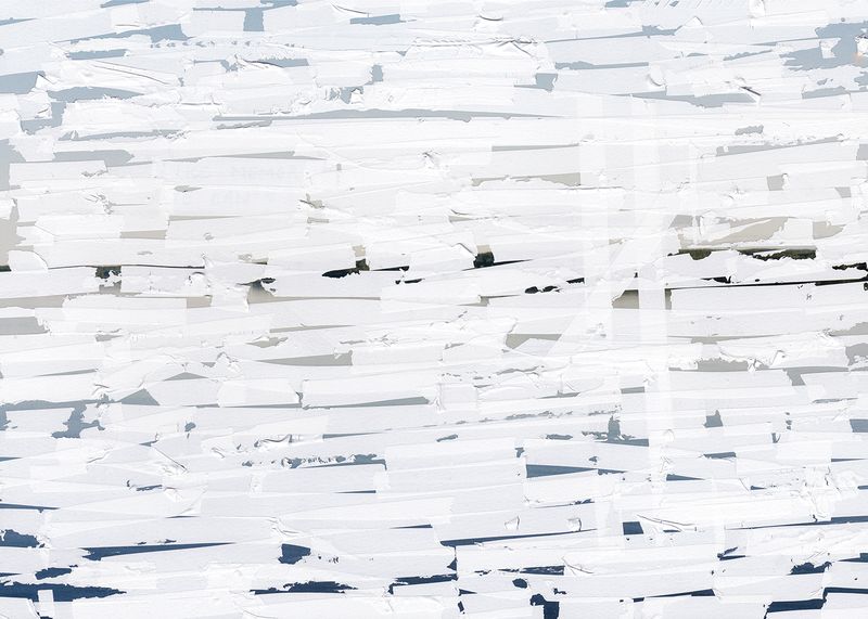© Hanna Råst - Image from the Pine needles photography project