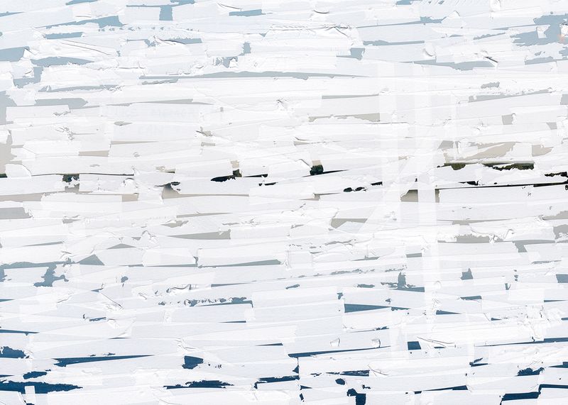 © Hanna Råst - Image from the Pine needles photography project