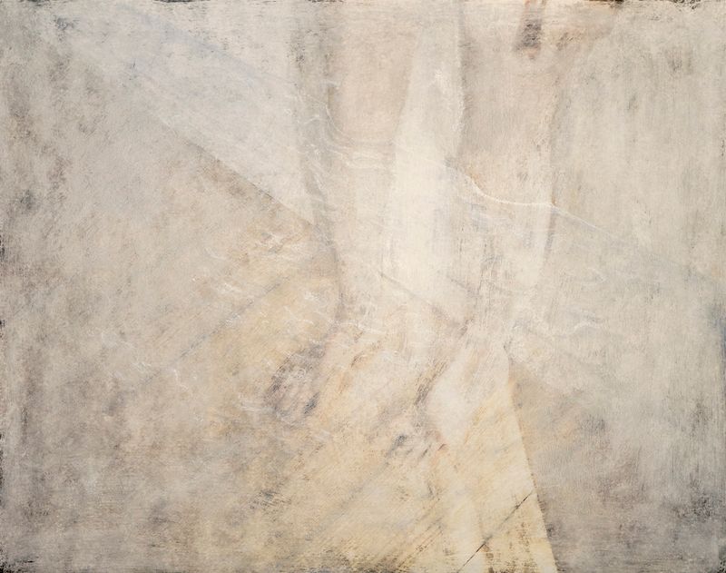 © Hanna Råst - Image from the Pine needles photography project