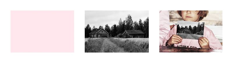 © Hanna Råst - Image from the Pine needles photography project