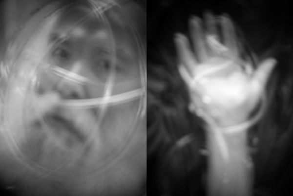 © Diane Fenster - The Winter of our Discontent