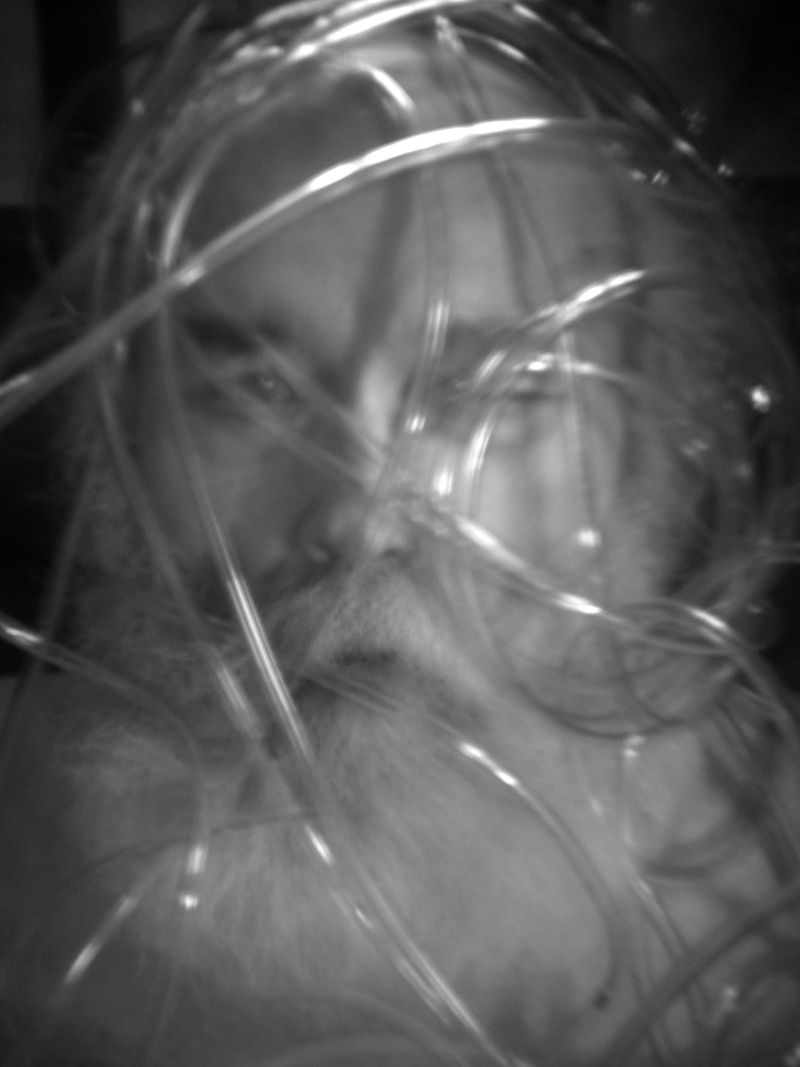 © Diane Fenster - Sargasso Sea