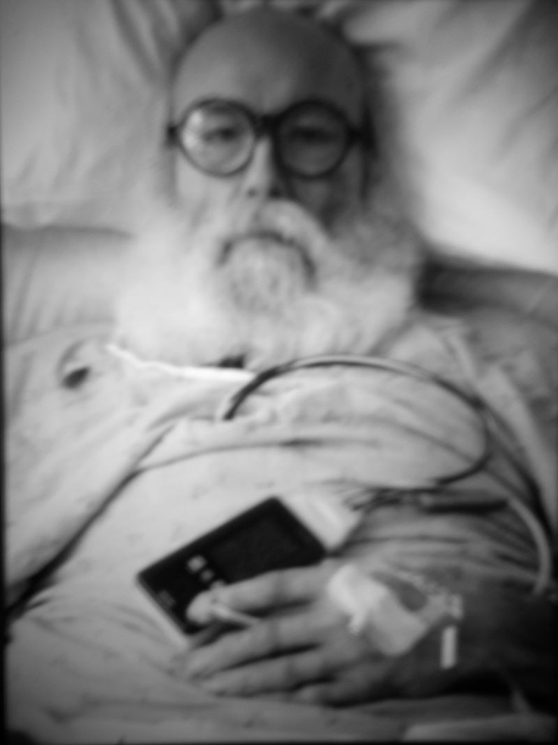 © Diane Fenster - Dynamics of the Heart #2