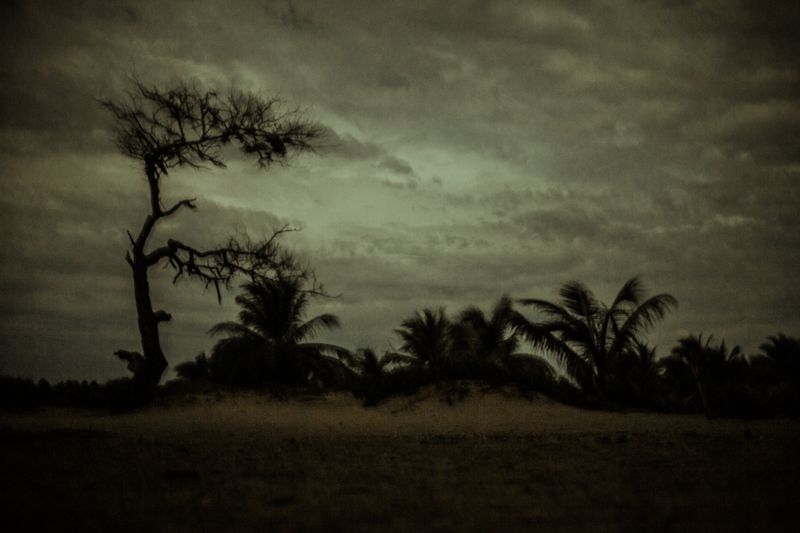 © Celine Croze - Image from the Nothing Happened photography project