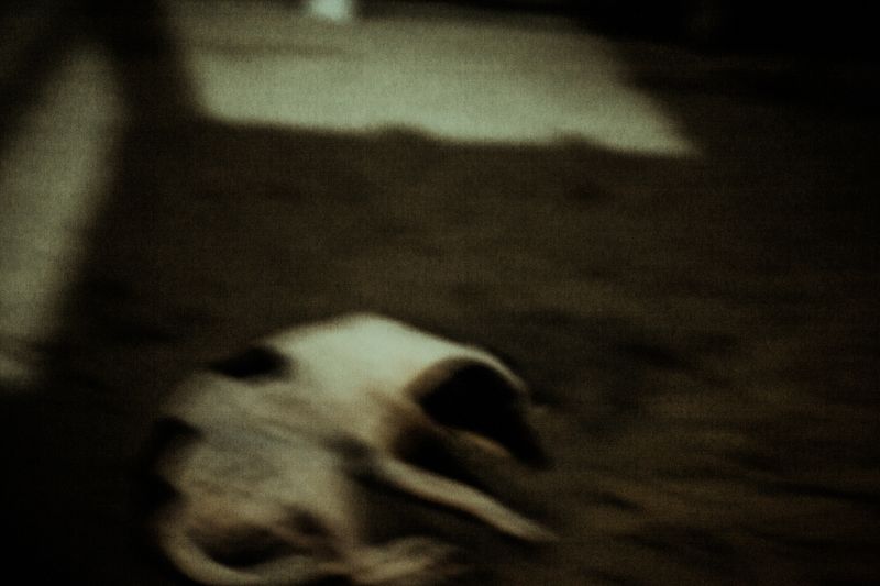 © Celine Croze - Image from the Nothing Happened photography project