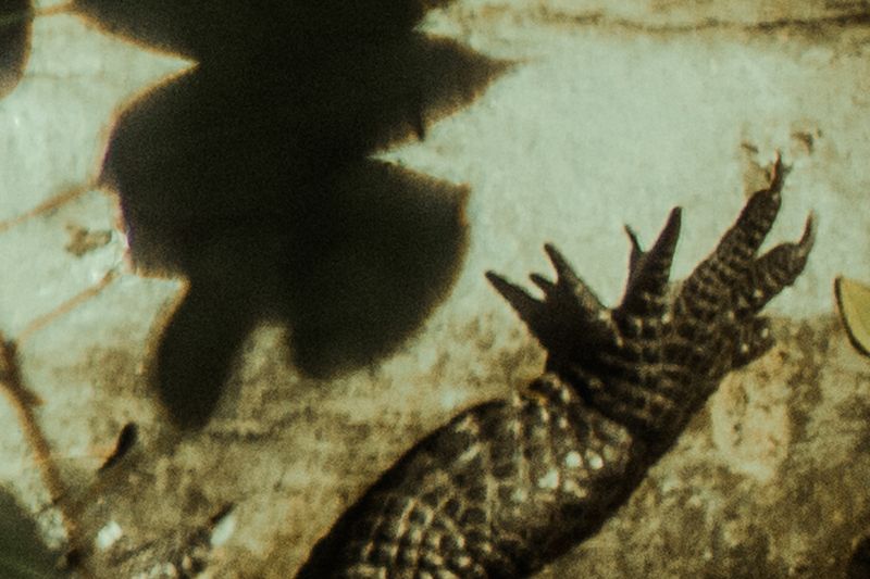 © Celine Croze - Image from the Nothing Happened photography project