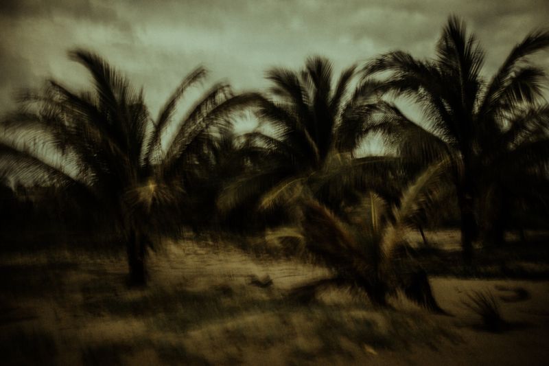 © Celine Croze - Image from the Nothing Happened photography project