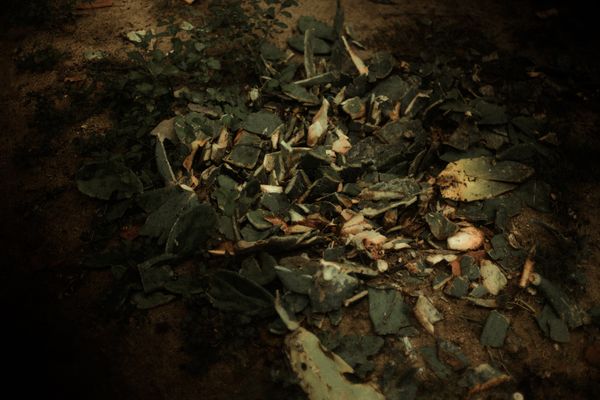 © Celine Croze - Image from the Nothing Happened photography project