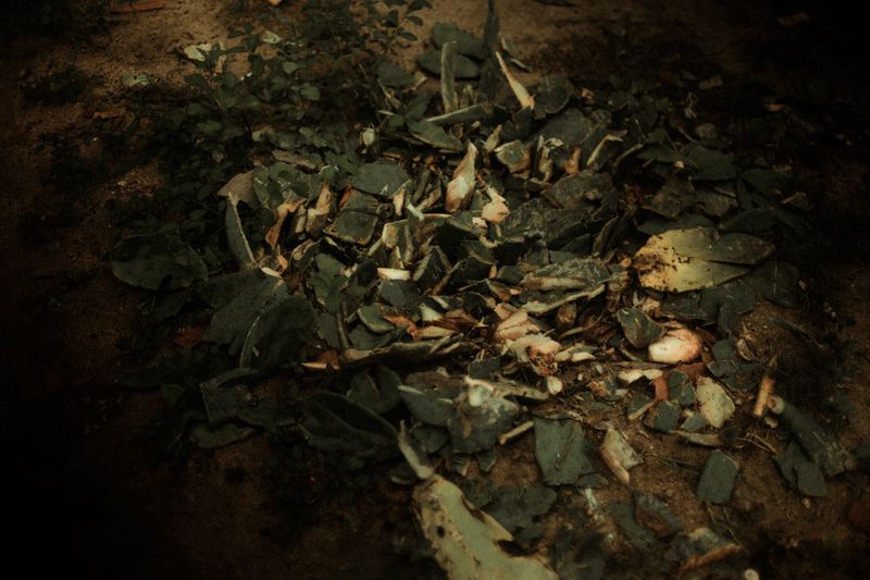 © Celine Croze - Image from the Nothing Happened photography project