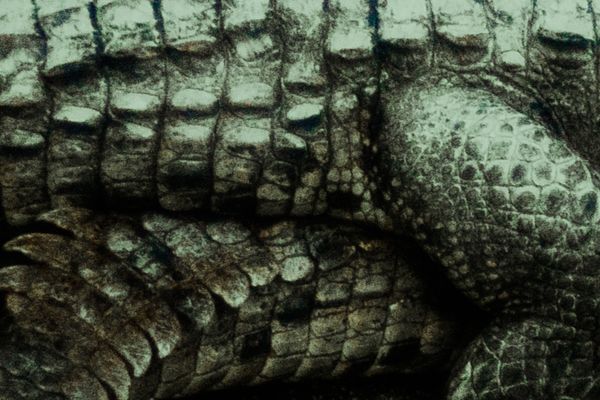 © Celine Croze - Image from the Nothing Happened photography project