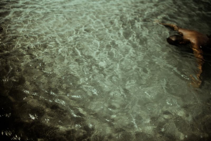 © Celine Croze - Image from the Nothing Happened photography project