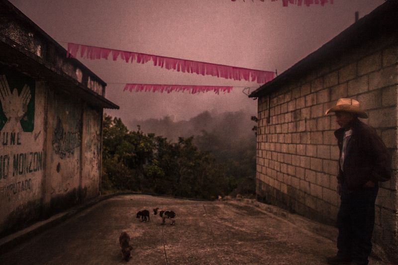 © Celine Croze - A man looking at dogs after coming out of a speakeasy. Patrocinio, Guatemala, 2015.