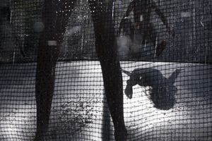 This house means freedom to me