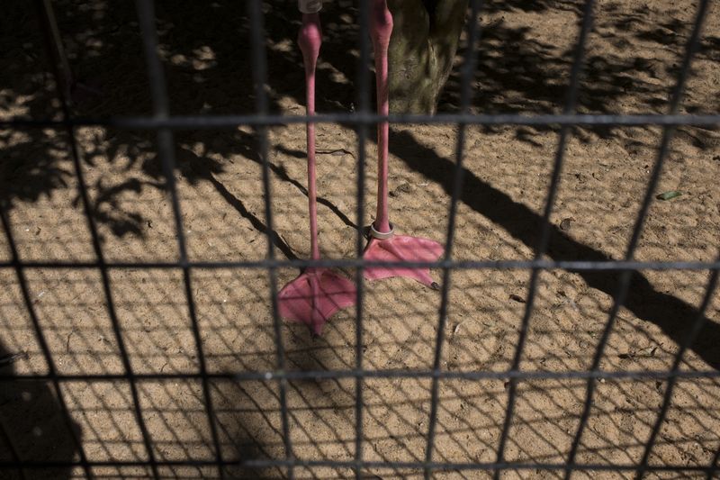 © Cris Veit - Image from the This house means freedom to me photography project