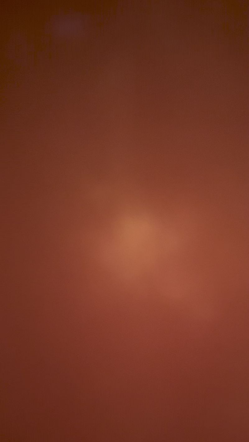 © Cris Veit - Deep brown he already has someone