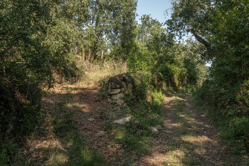 © Cris Veit - Image from the Decisions and desire photography project