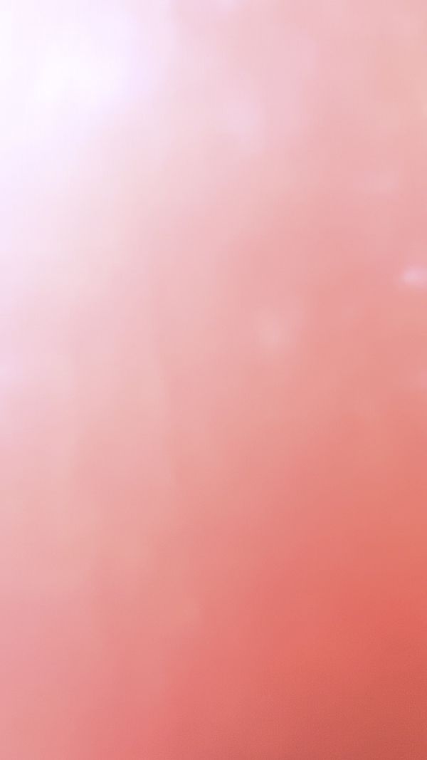 © Cris Veit - Morning rose a perfect day