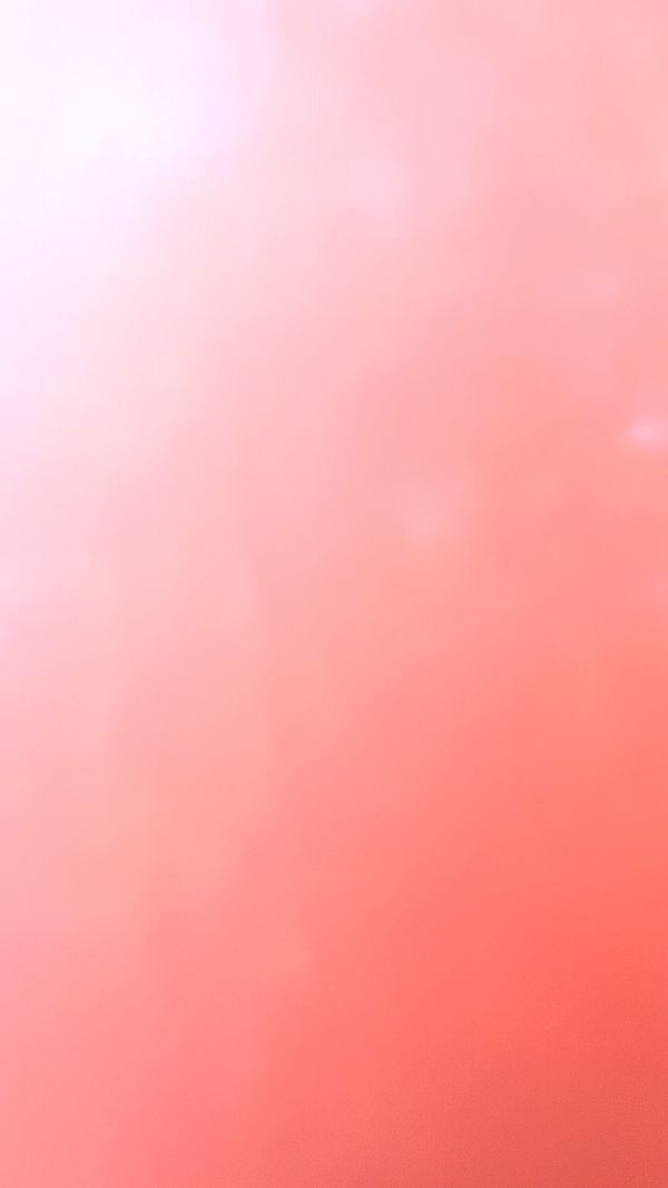 © Cris Veit - Morning rose a perfect day