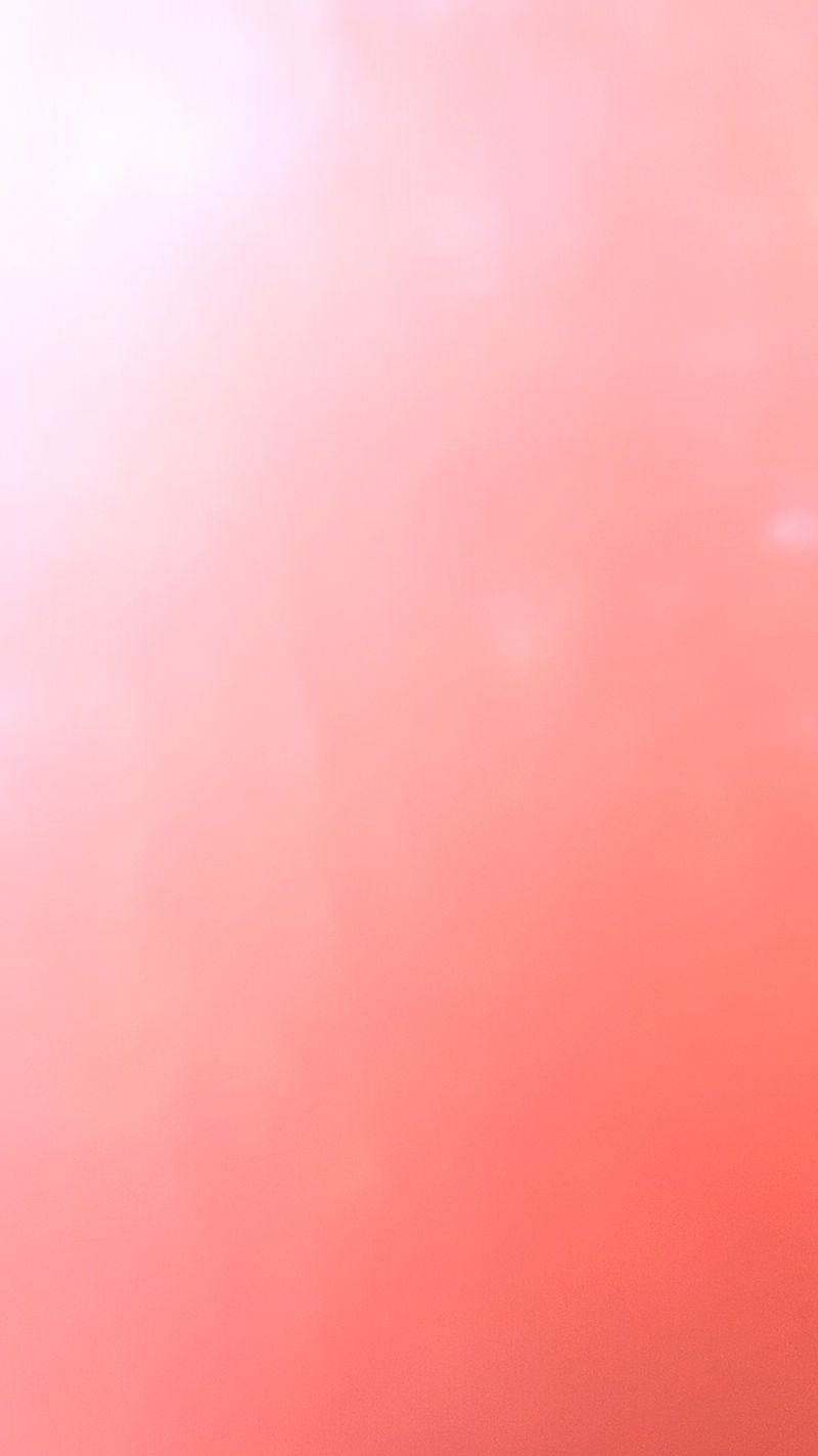 © Cris Veit - Morning rose a perfect day