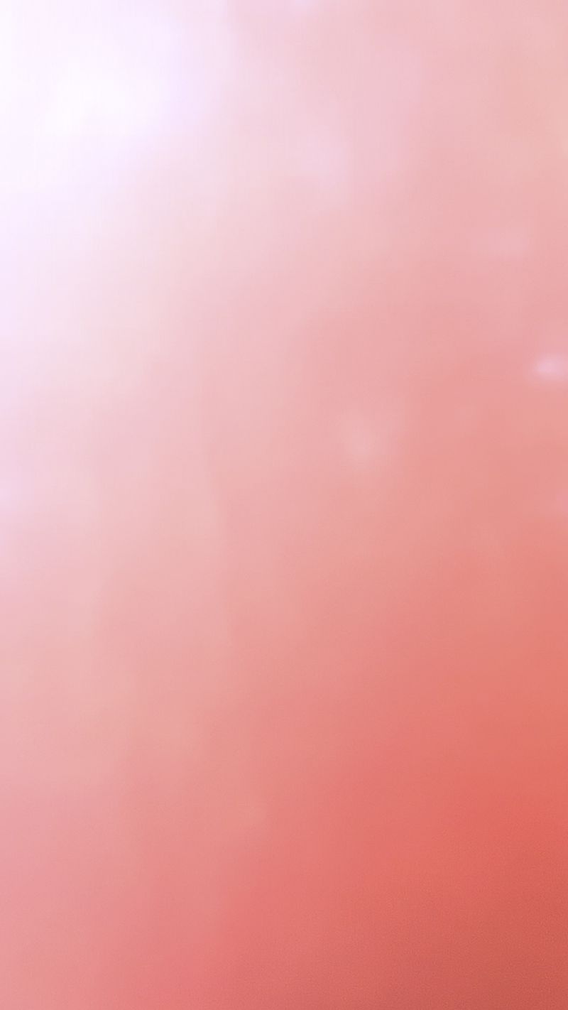 © Cris Veit - Morning rose a perfect day