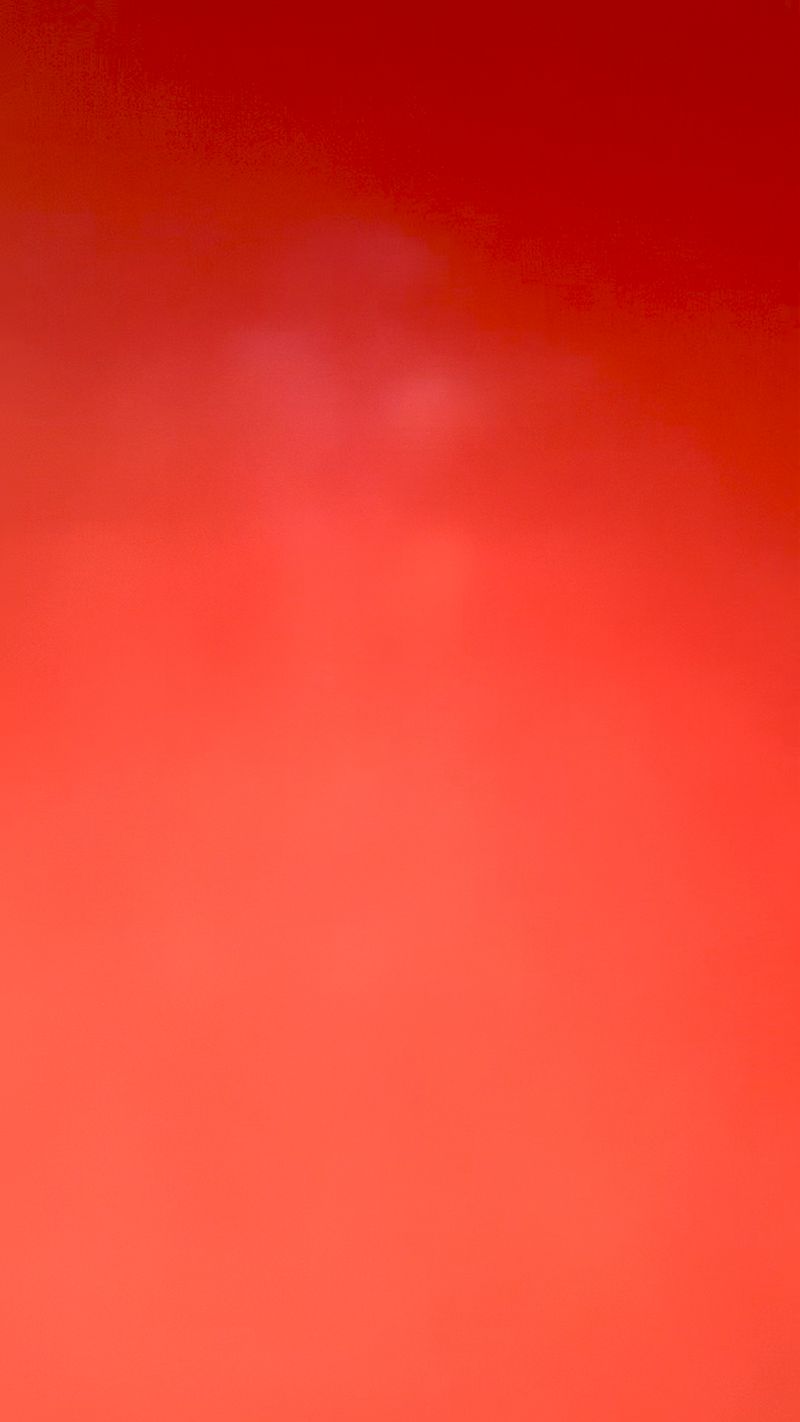 © Cris Veit - Bright cerise we’ll meet again