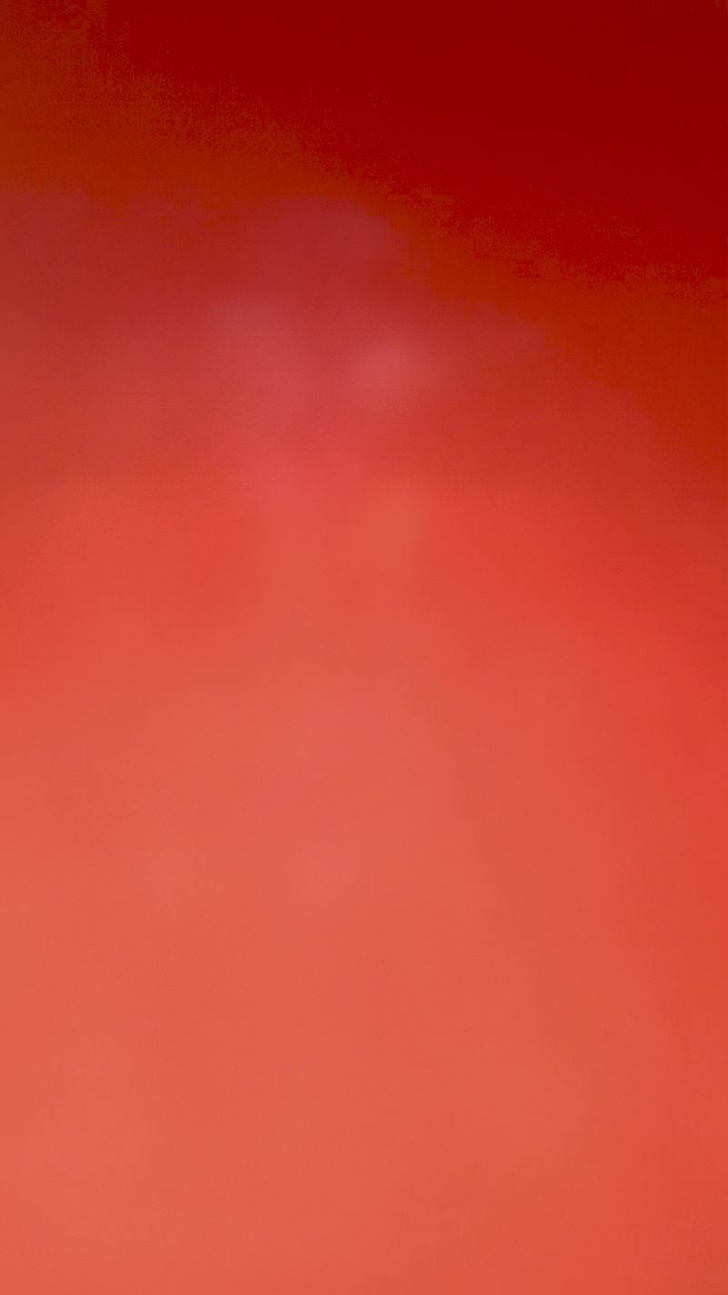 © Cris Veit - Bright cerise we’ll meet again