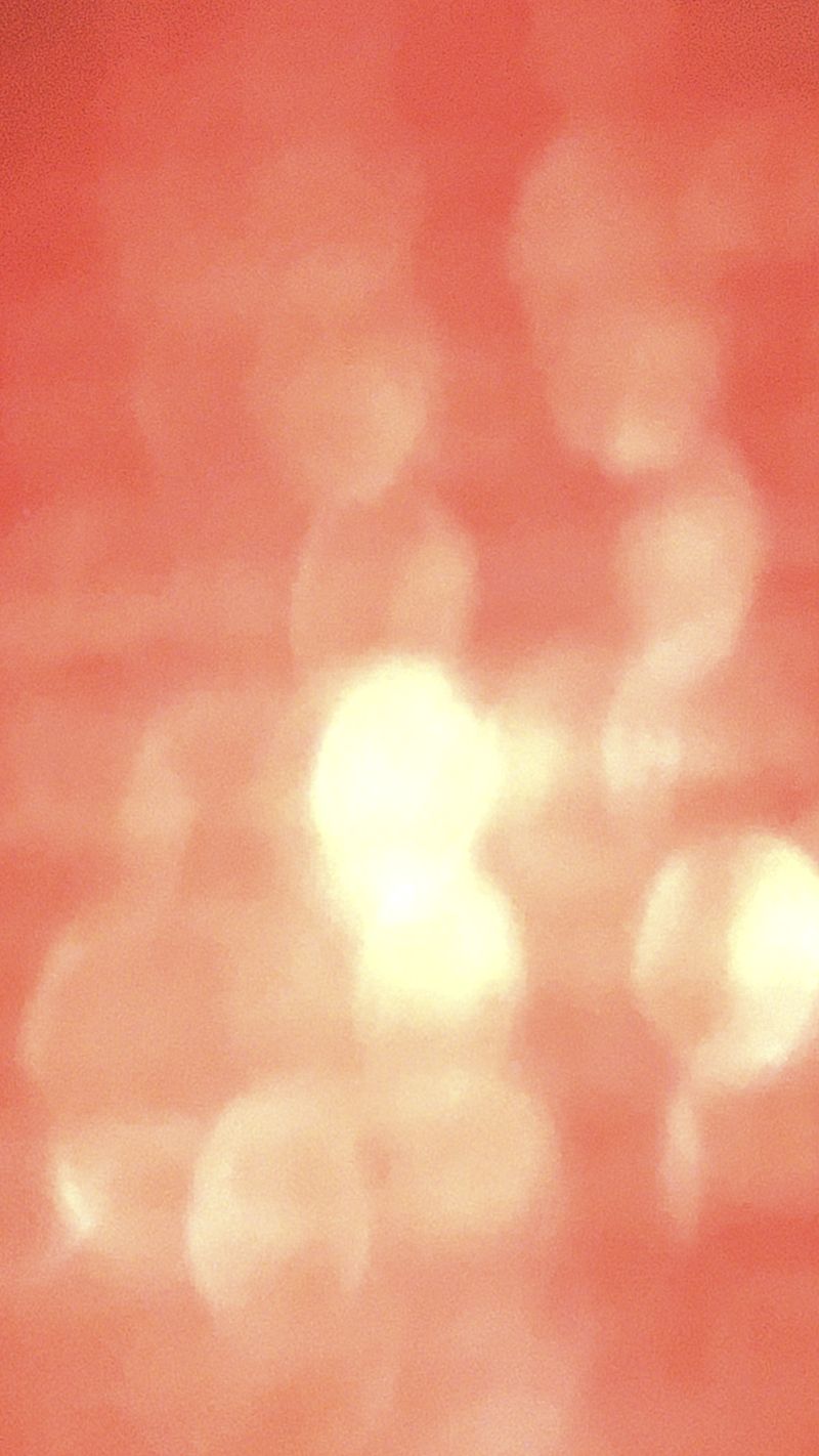 © Cris Veit - Radiant coral pleasant surprise