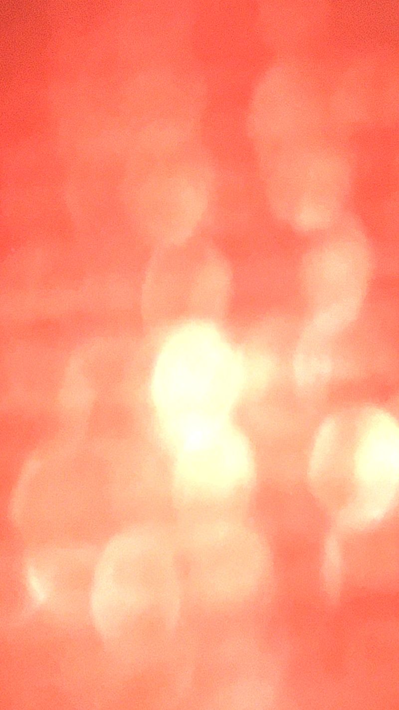 © Cris Veit - Radiant coral pleasant surprise