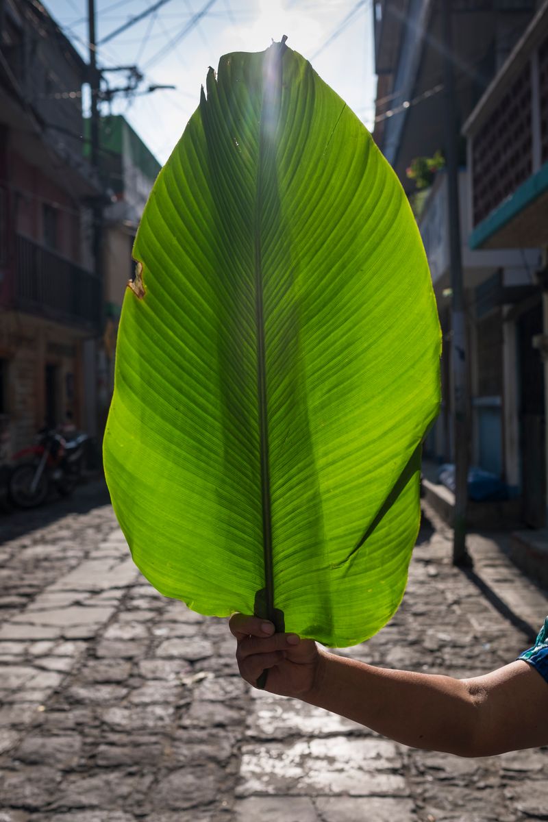 © Cris Veit - Image from the /poc/ photography project