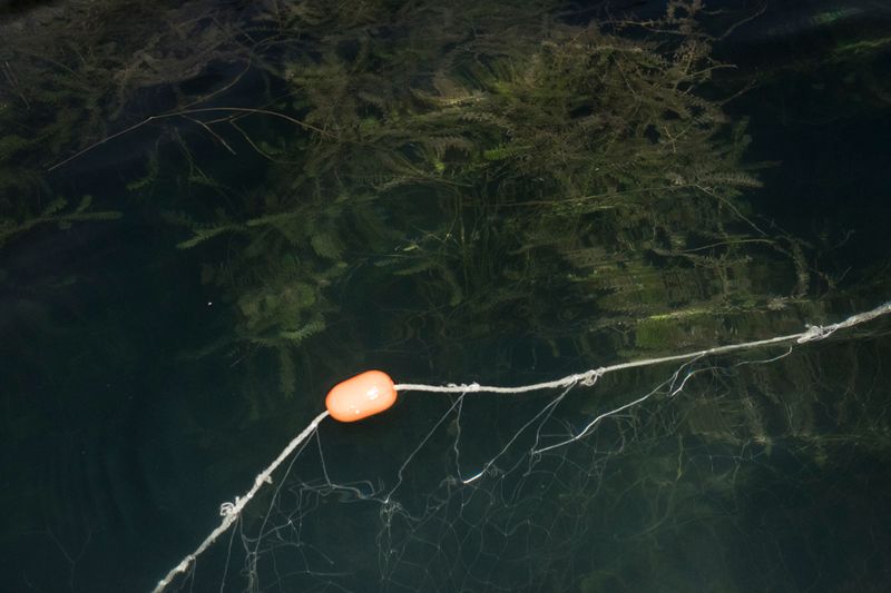 © Cris Veit - Image from the /poc/ photography project