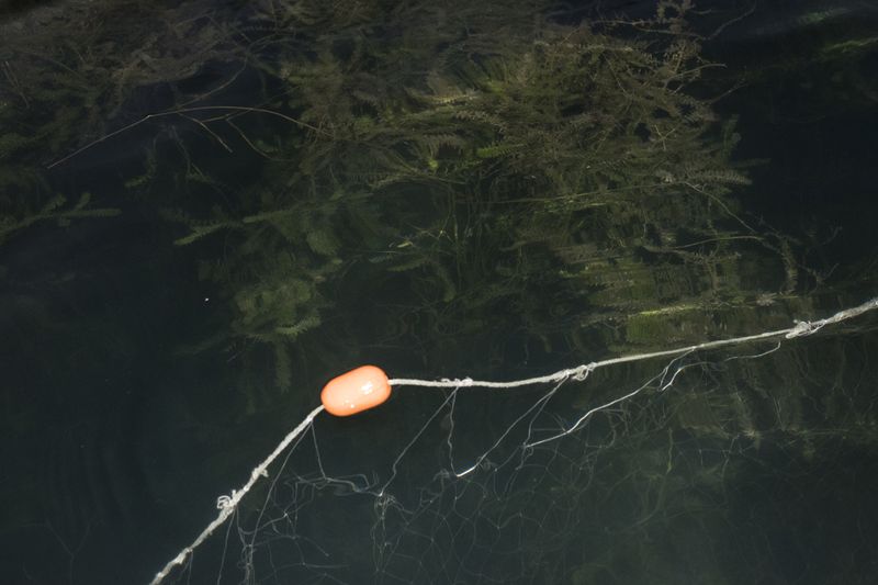 © Cris Veit - Image from the /poc/ photography project