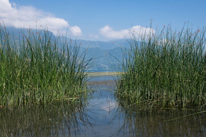 © Cris Veit - Image from the /poc/ photography project