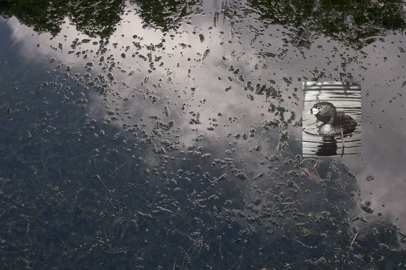 © Cris Veit - Image from the /poc/ photography project