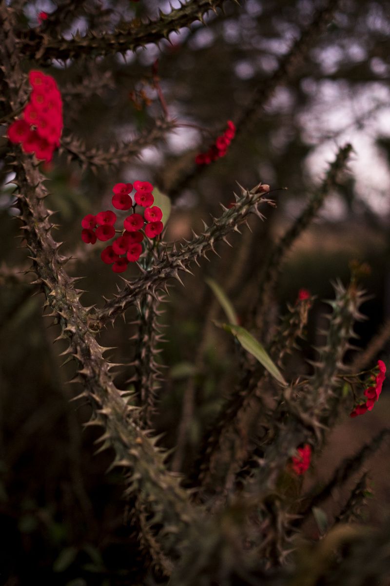 © Cris Veit - Image from the My Heart is Full photography project