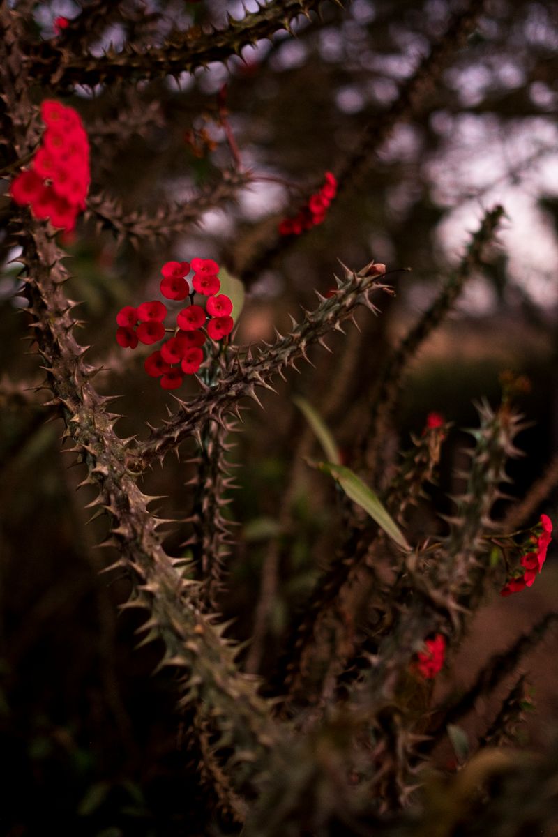 © Cris Veit - Image from the My Heart is Full photography project