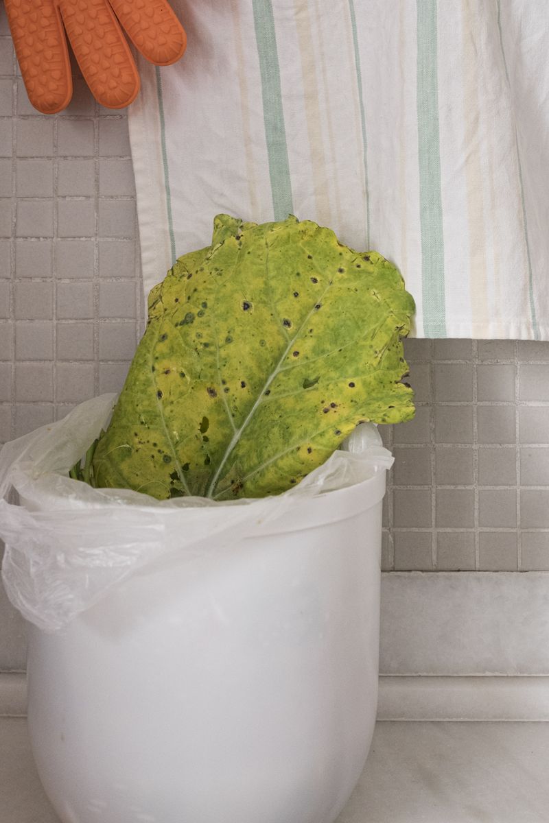 © Cris Veit - Image from the My Heart is Full photography project