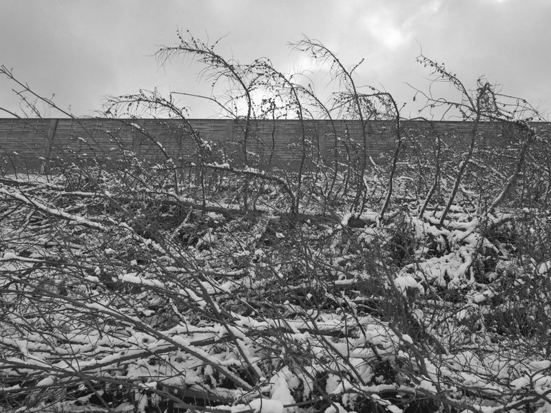 © Thomas Bundschuh - Image from the Silence Beyond The Wall photography project